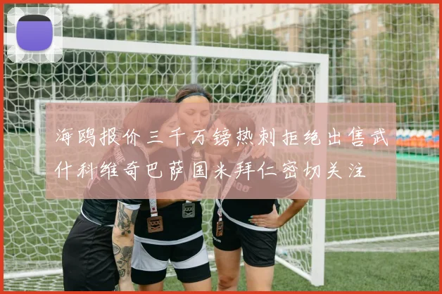 海鸥报价三千万镑热刺拒绝出售武什科维奇巴萨国米拜仁密切关注