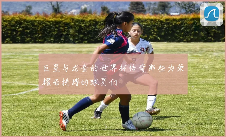 巨星与龙套的世界杯传奇那些为荣耀而拼搏的球员们